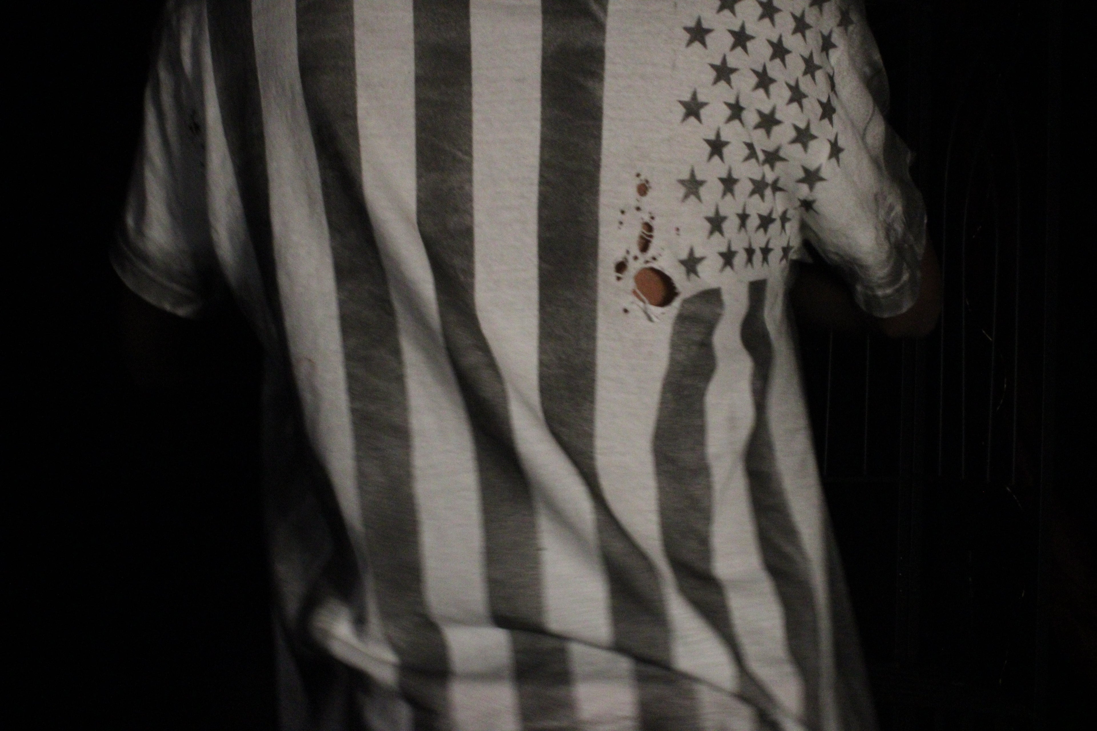 American Priorities Collection