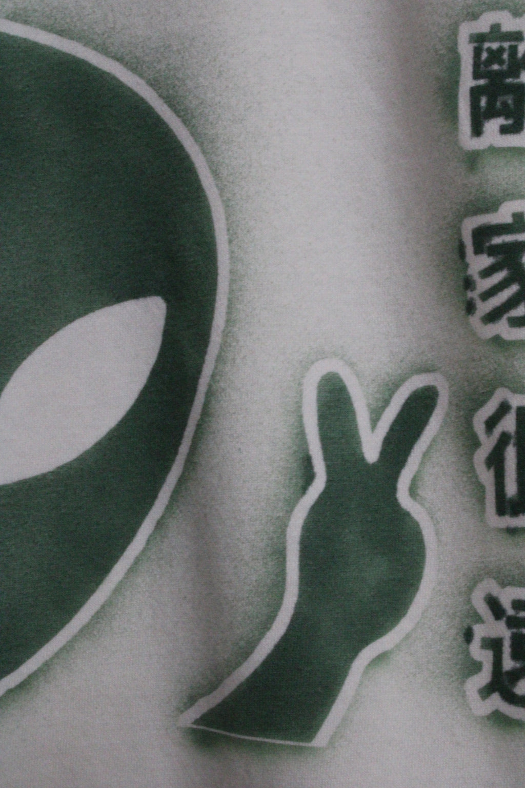 1 of 1 Custom Request Ed Hardy "Die Before Insult" Hoodie