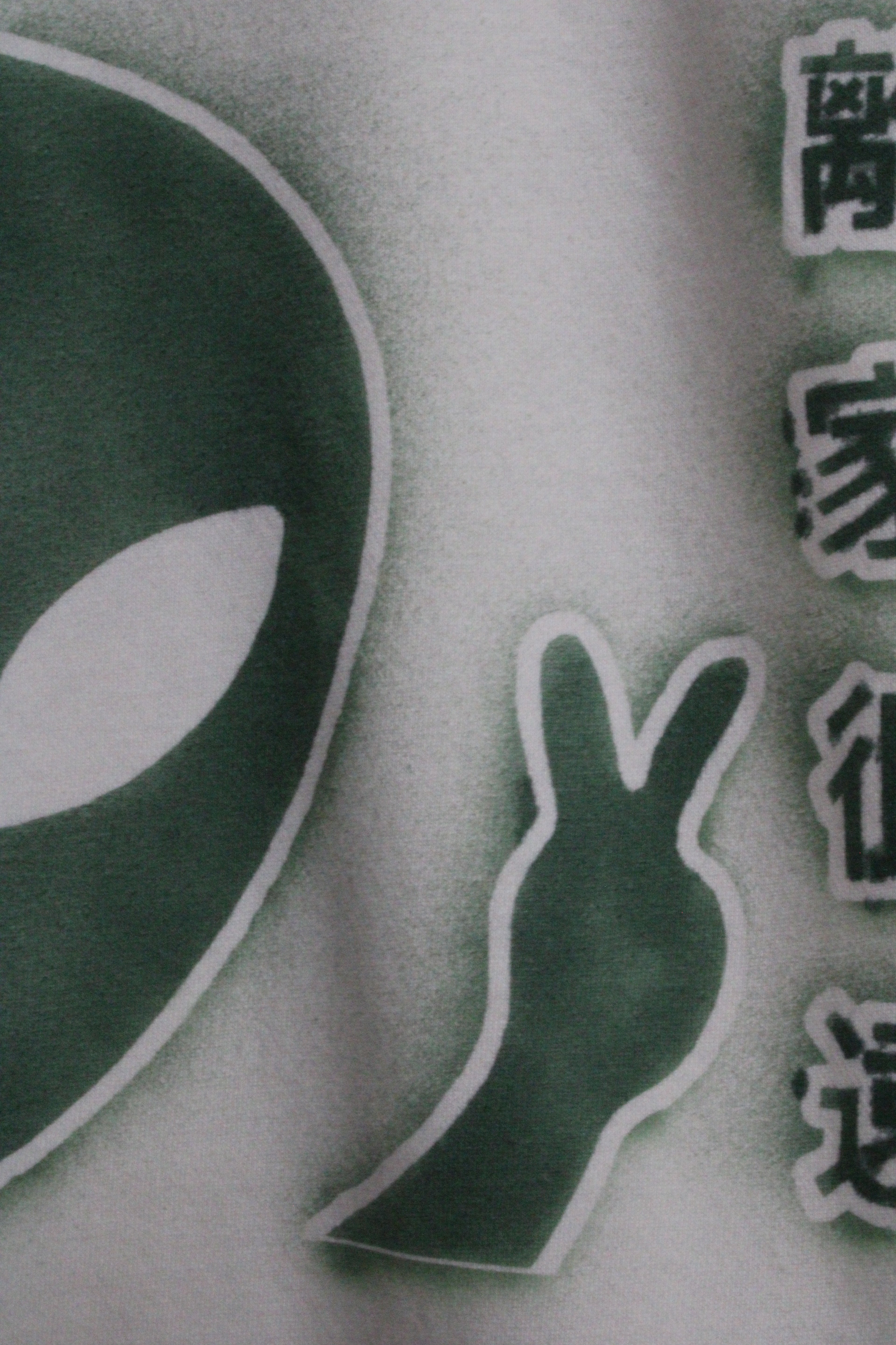 1 of 1 Custom Request Ed Hardy "Die Before Insult" Hoodie